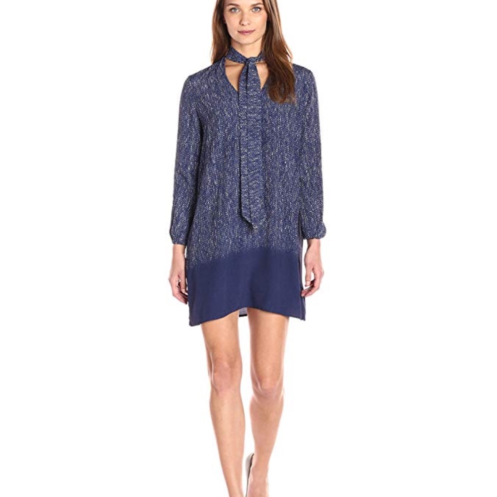 BB Dakota Carrera Ombré Shift Dress